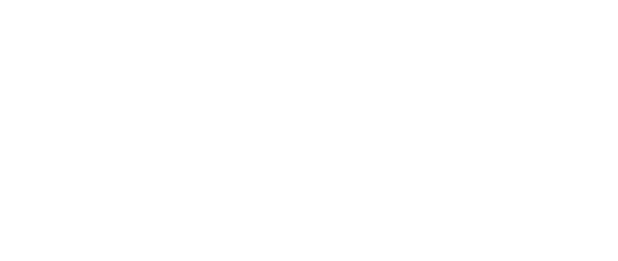 adavanity-technologies-services-salesforce